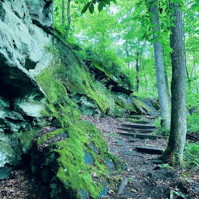 Hike Rocky Bluff Trail