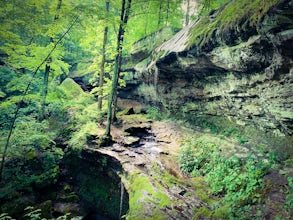 Hike Rocky Bluff Trail