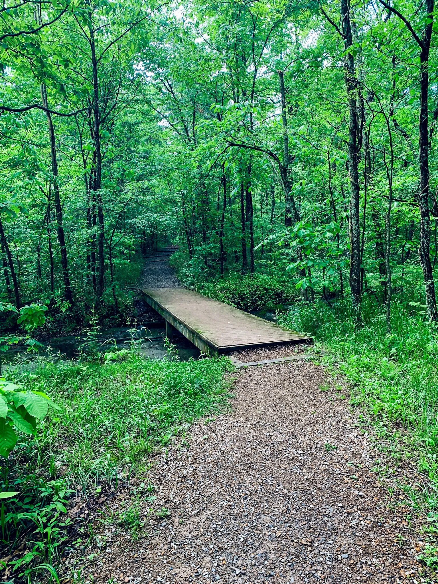 Hike Rocky Bluff Trail