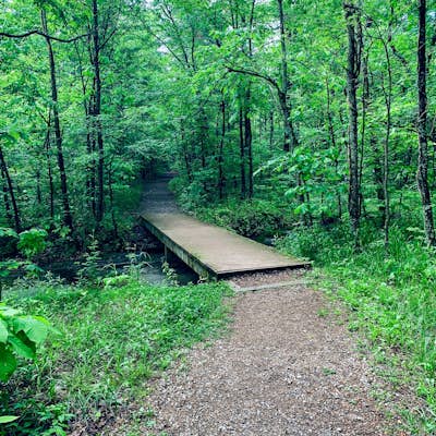 Hike Rocky Bluff Trail