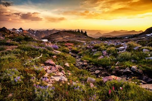 Plan a Trip to Iconic Mount Rainier National Park