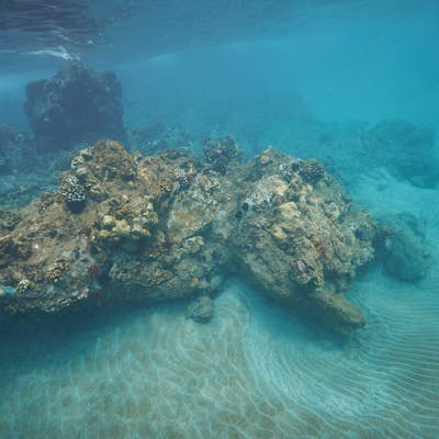 Snorkel Kapalua Bay
