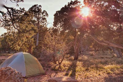 Camp at Desert View Campground
