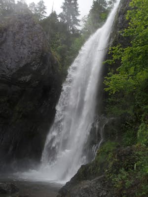 Henline Falls Trail