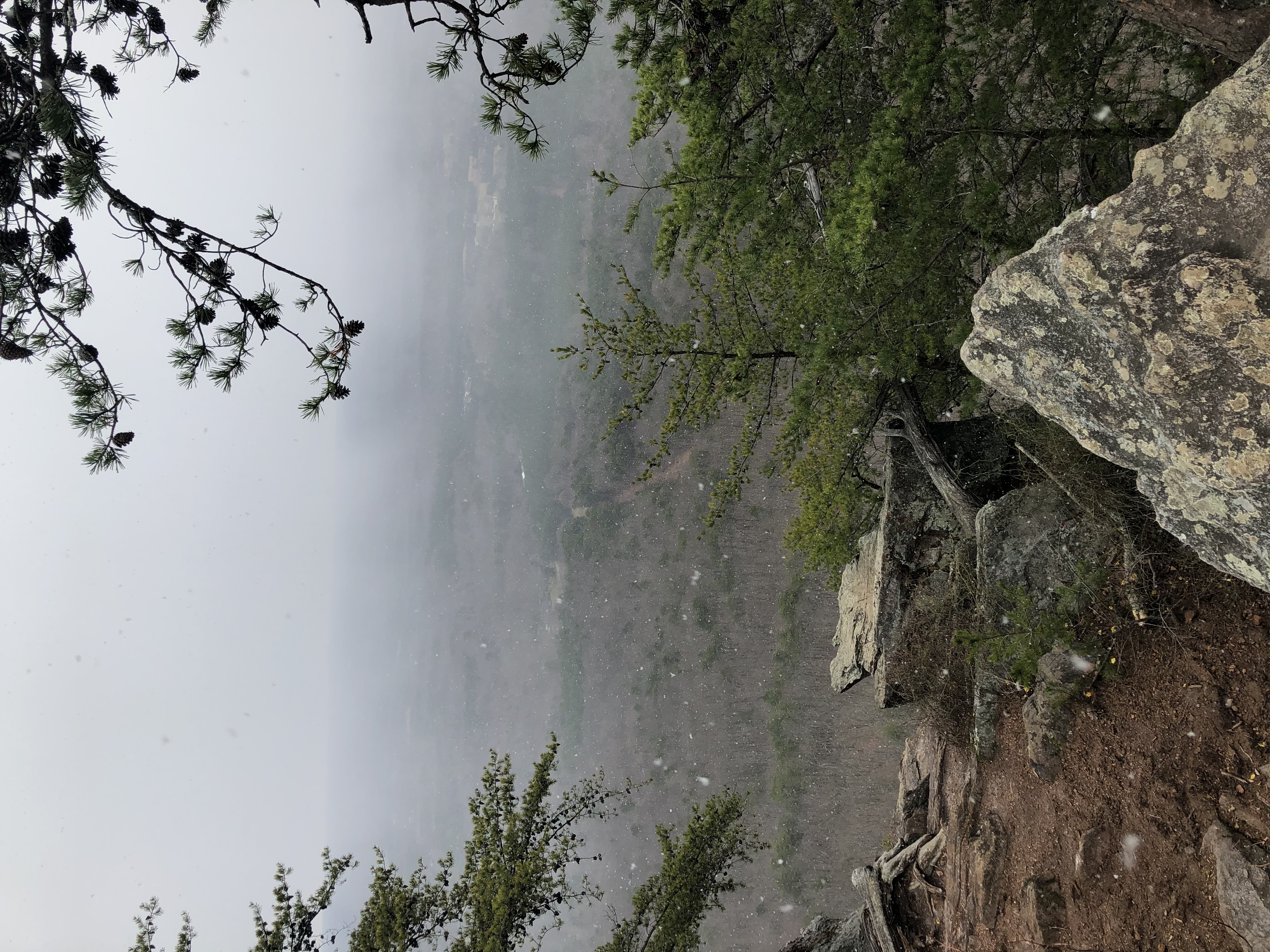 Hike Crowders Mountain 