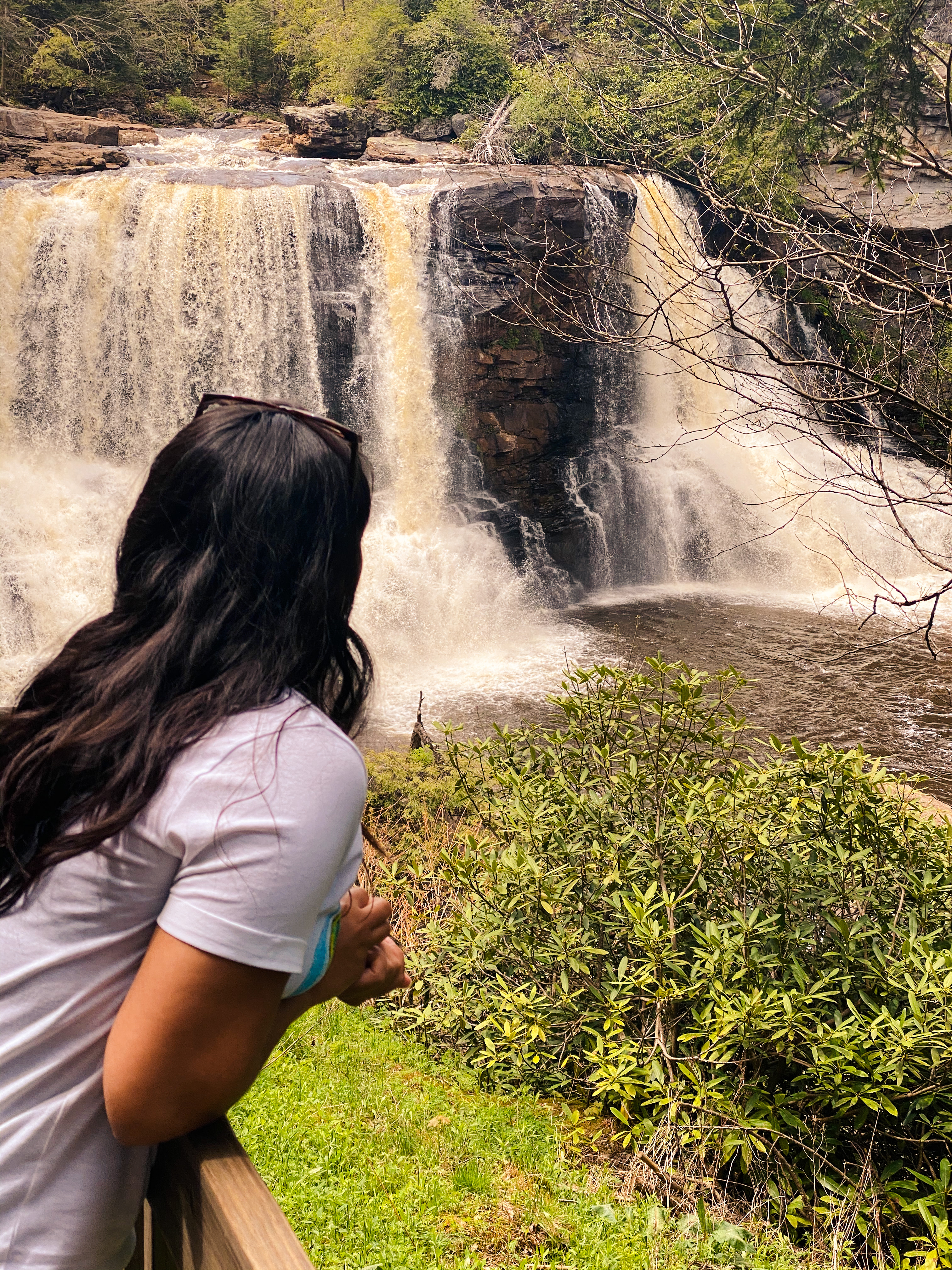 Photograph Blackwater Falls