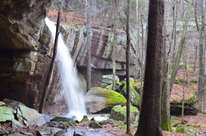 Hike & Climb at Jackson Falls