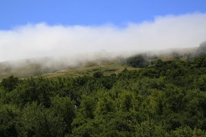 Bollinger Creek Loop Trail