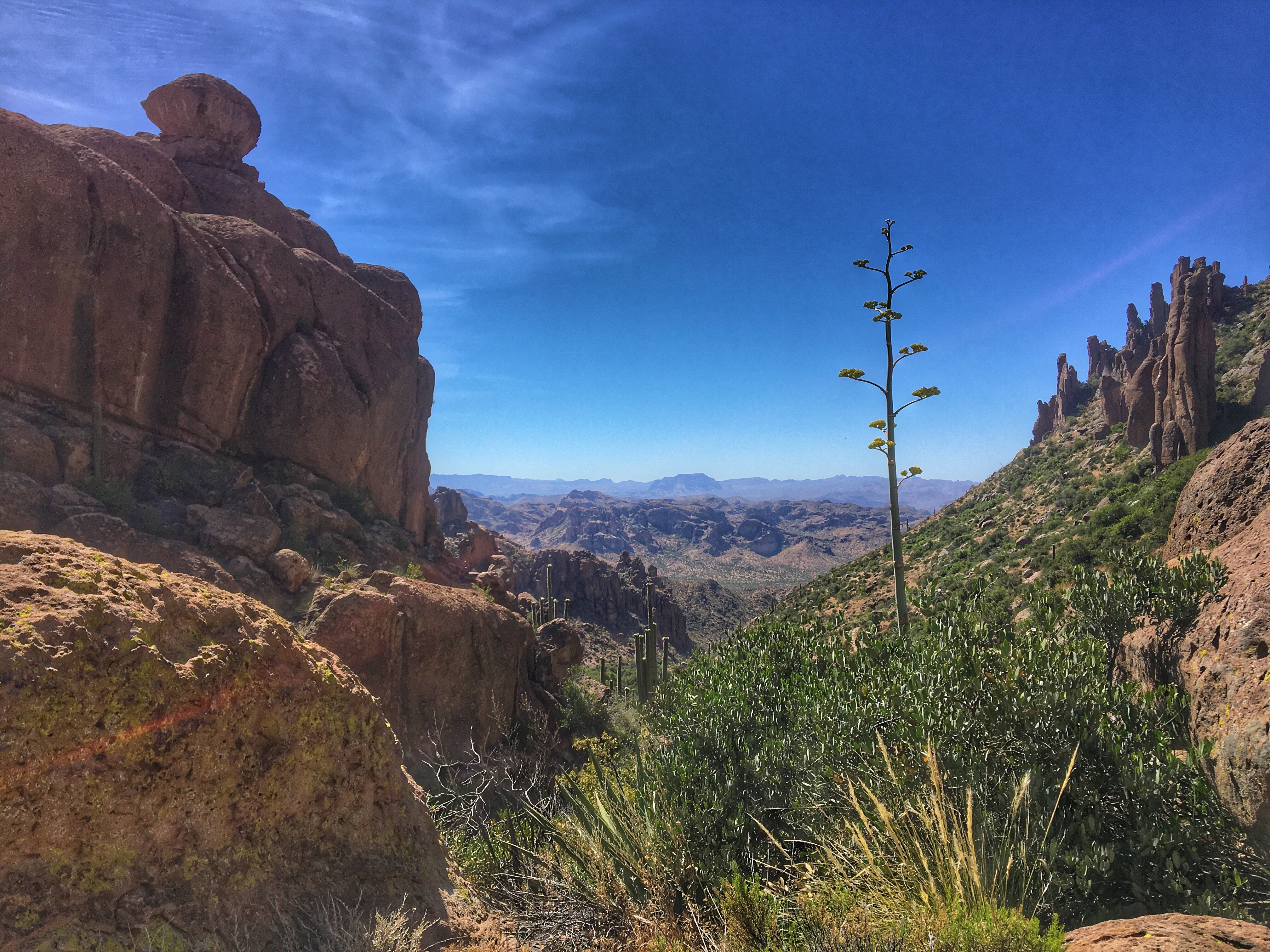 Fremont Saddle via Peralta Canyon Trail