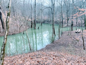 Hike Echo River Spring Trail in Mammoth Cave National Park