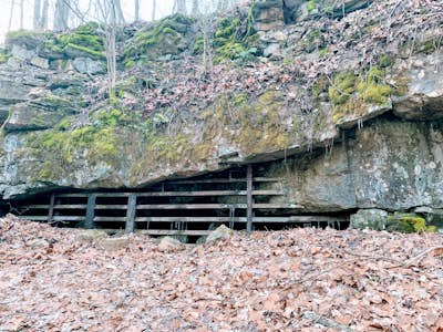 Hike Echo River Spring Trail in Mammoth Cave National Park