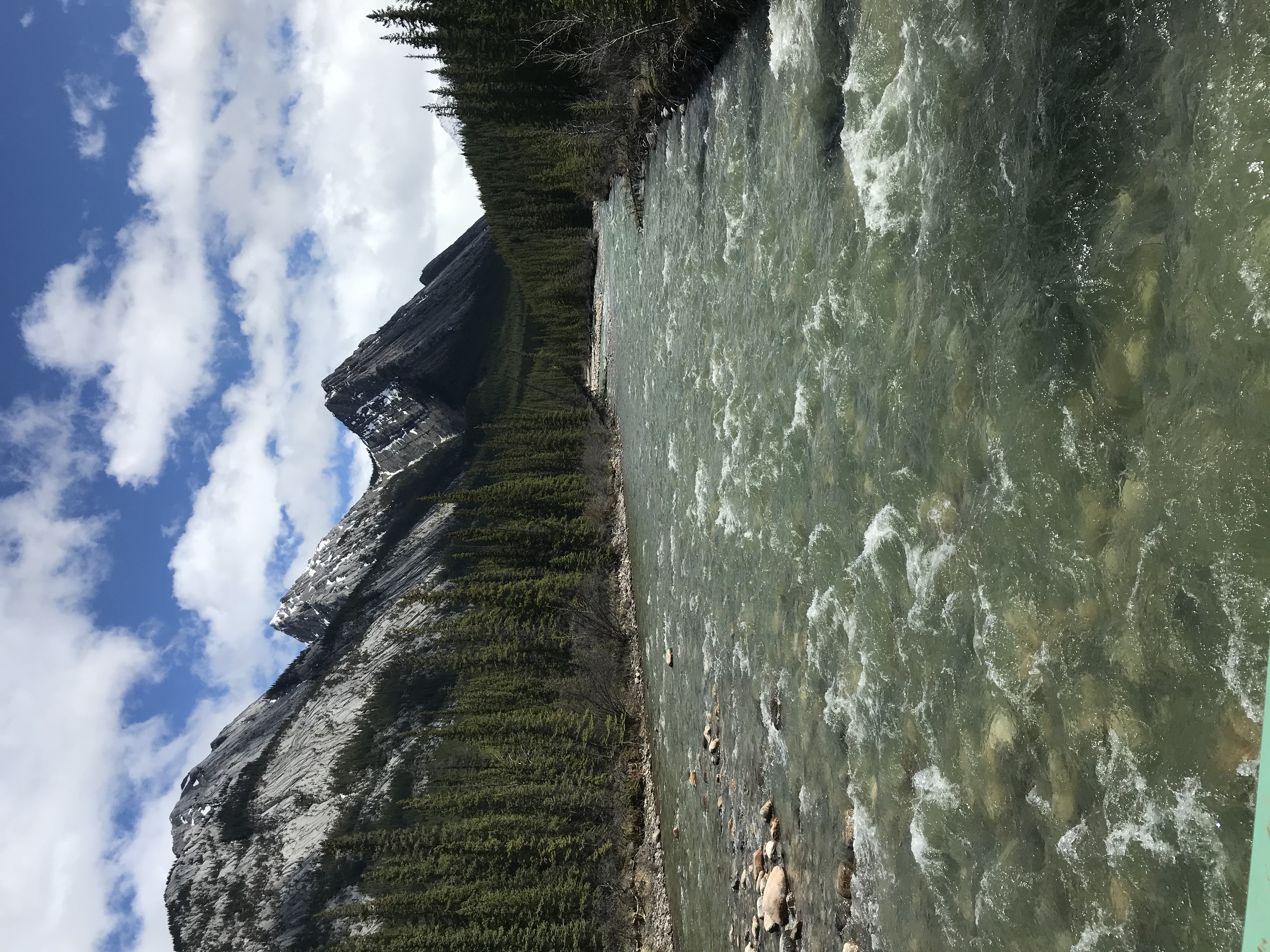 Siffleur Falls Trail