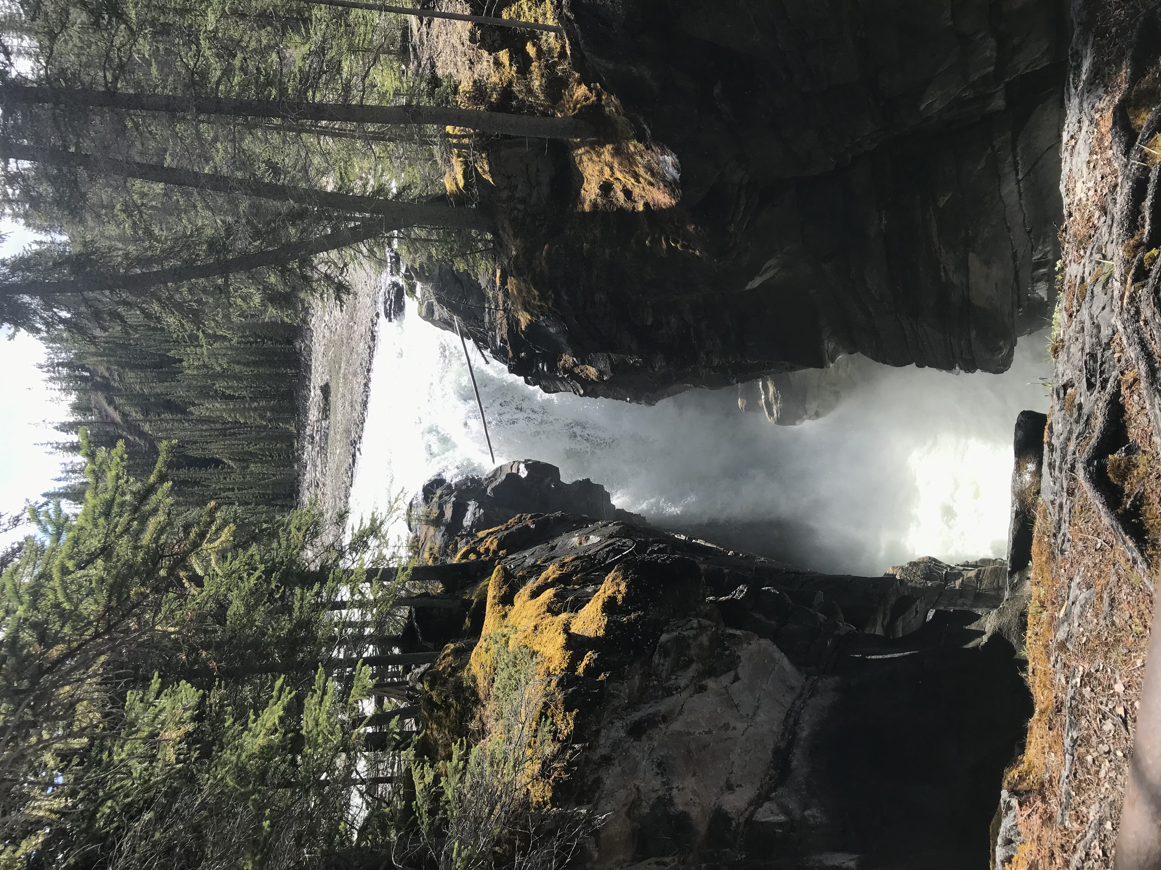 Siffleur Falls Trail