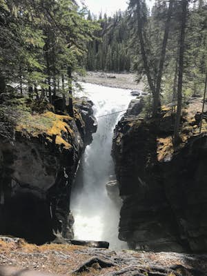 Siffleur Falls Trail