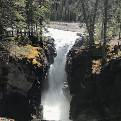 Siffleur Falls Trail