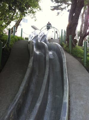 Take a Ride on the Seward Street Slides