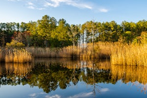 Hike the Sea Hawk Trail at Holts Landing State Park