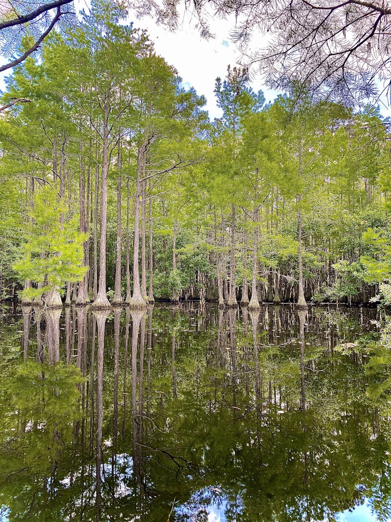Photo of Kayak at L Smith State Park