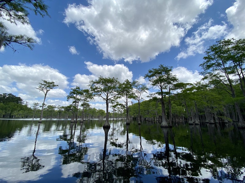 Photo of Kayak at L Smith State Park