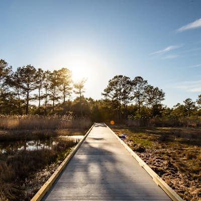 Hike the Sea Hawk Trail at Holts Landing State Park