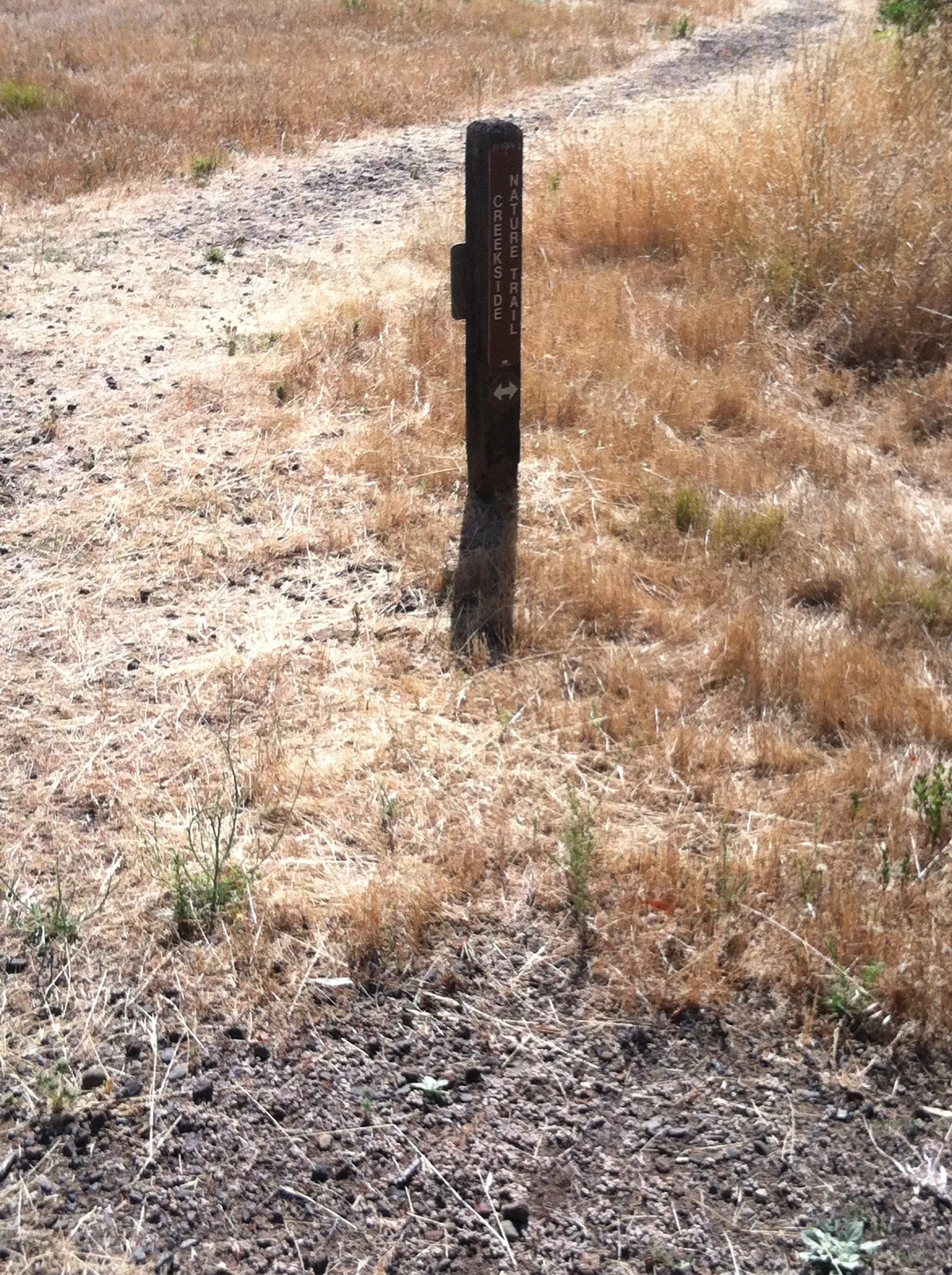 Bald Mountain