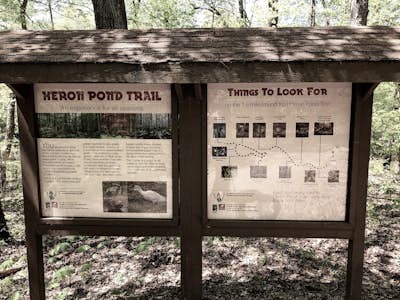 Hike the Todd Fink-Heron Pond Trail