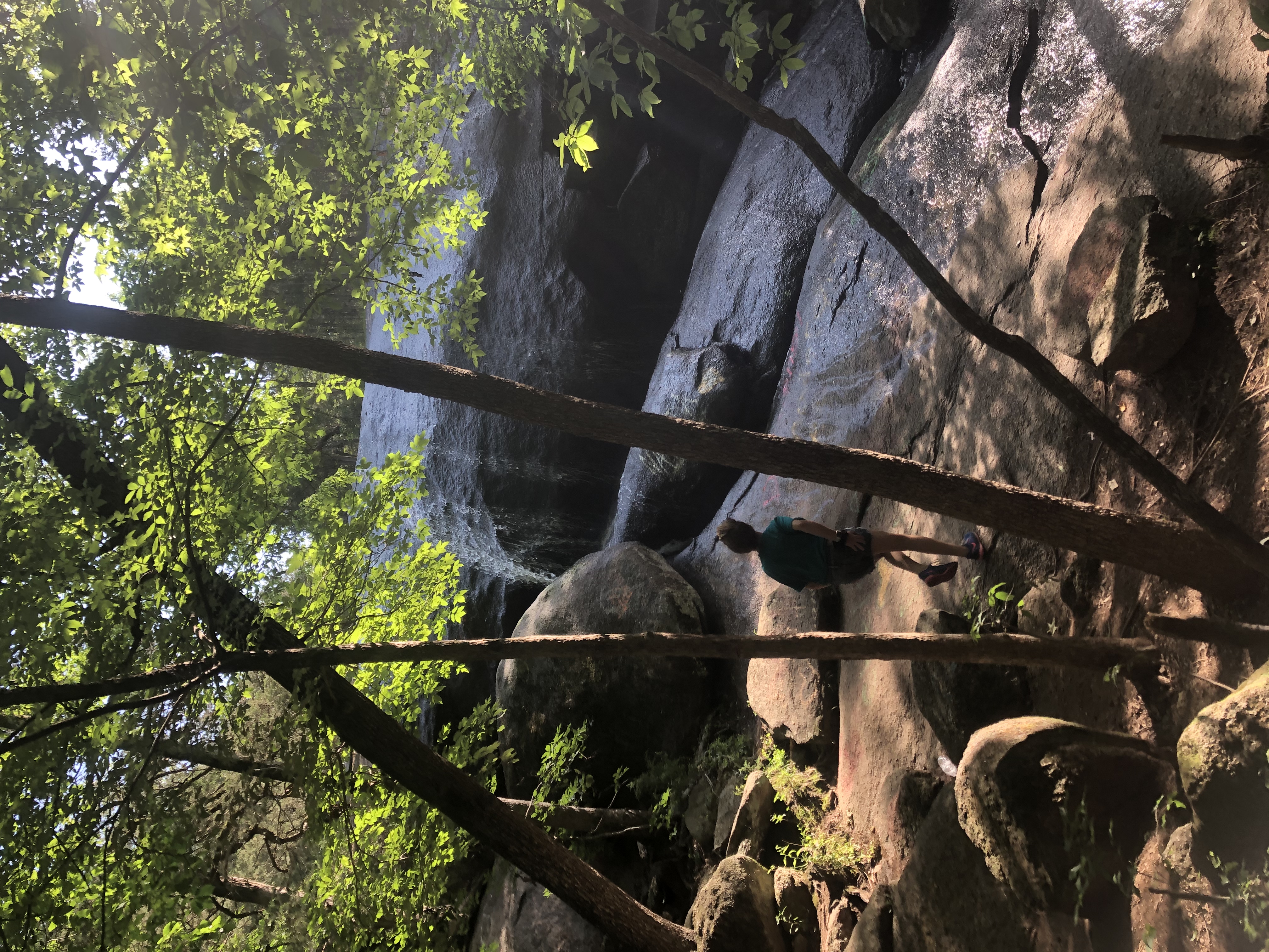 Forty Acre Rock and Beaver Pond Loop
