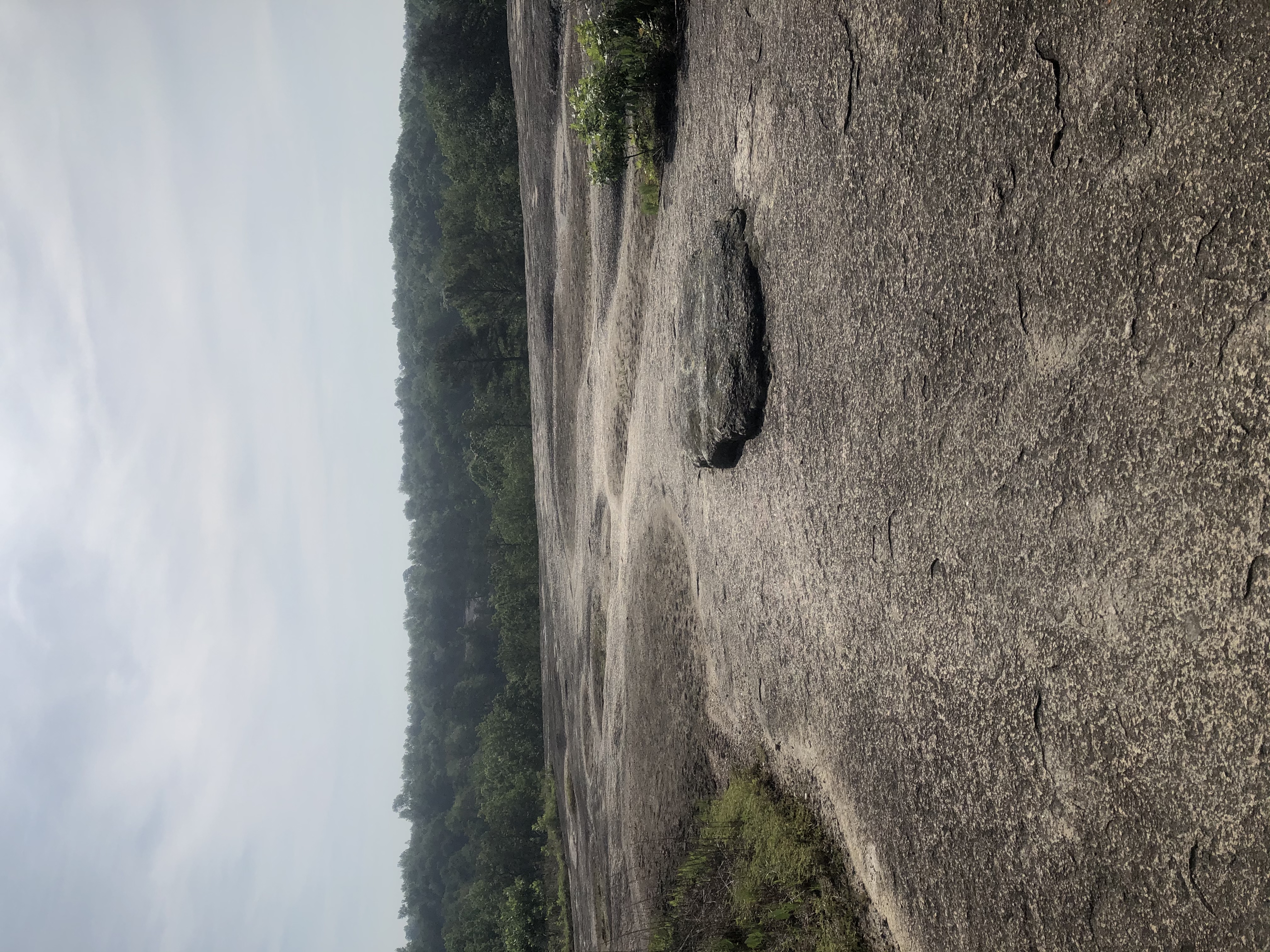 Hiking through Forty Acre Rock Heritage Preserve, Kershaw, South Carolina