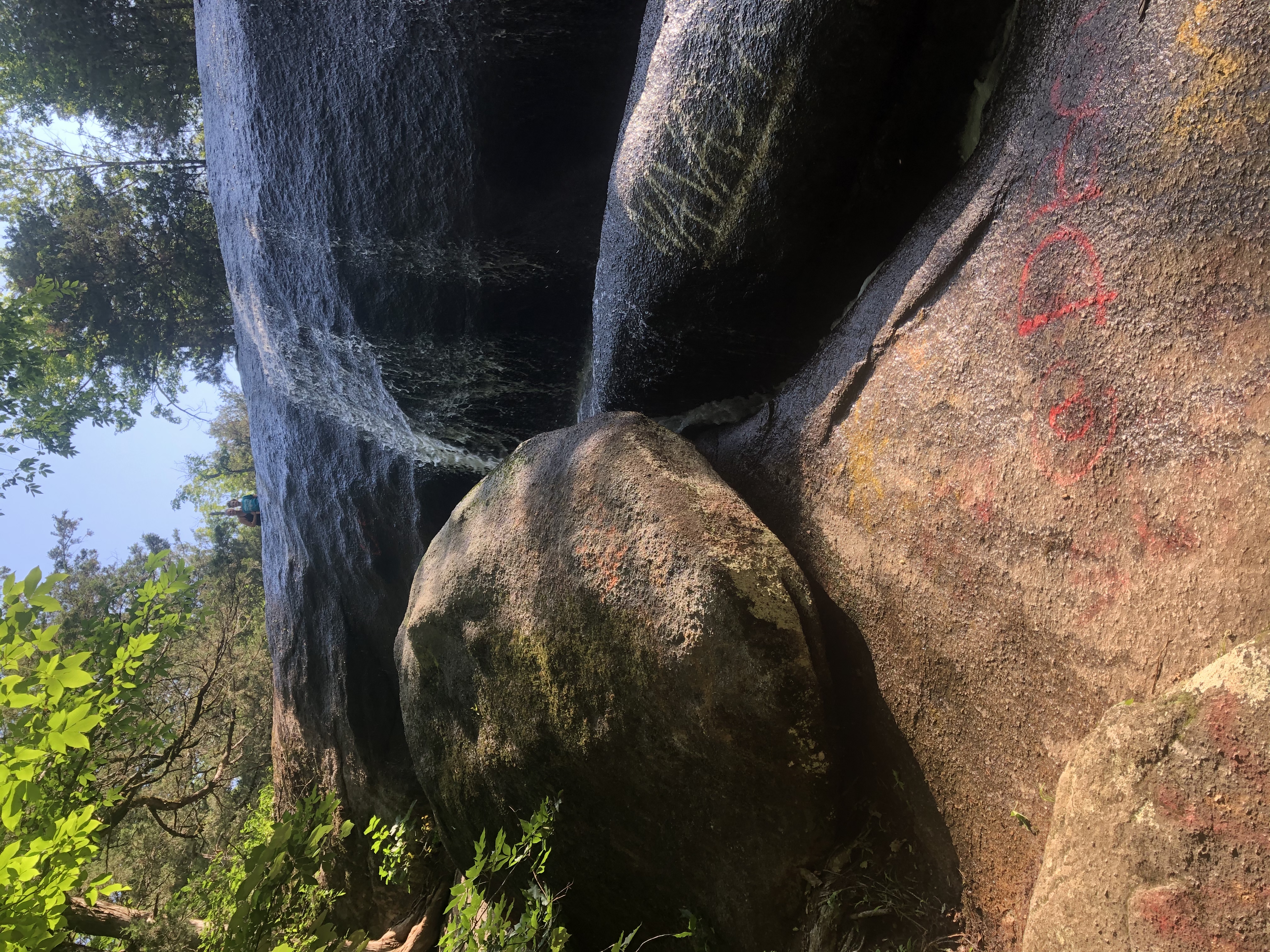 Forty Acre Rock and Beaver Pond Loop