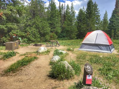 Camp at the Jenny Lake Campground