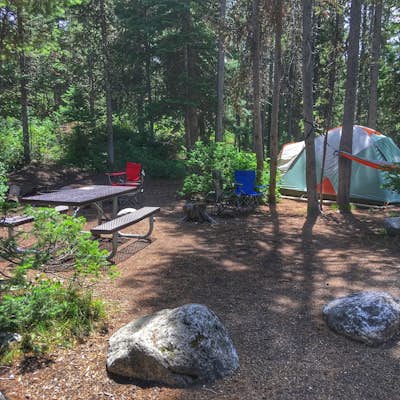 Camp at the Jenny Lake Campground