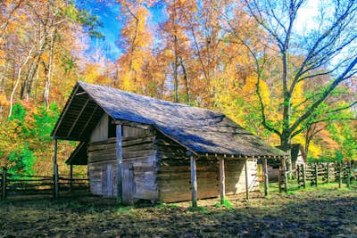 Explore the 1850's Homeplace of Land Between the Lakes