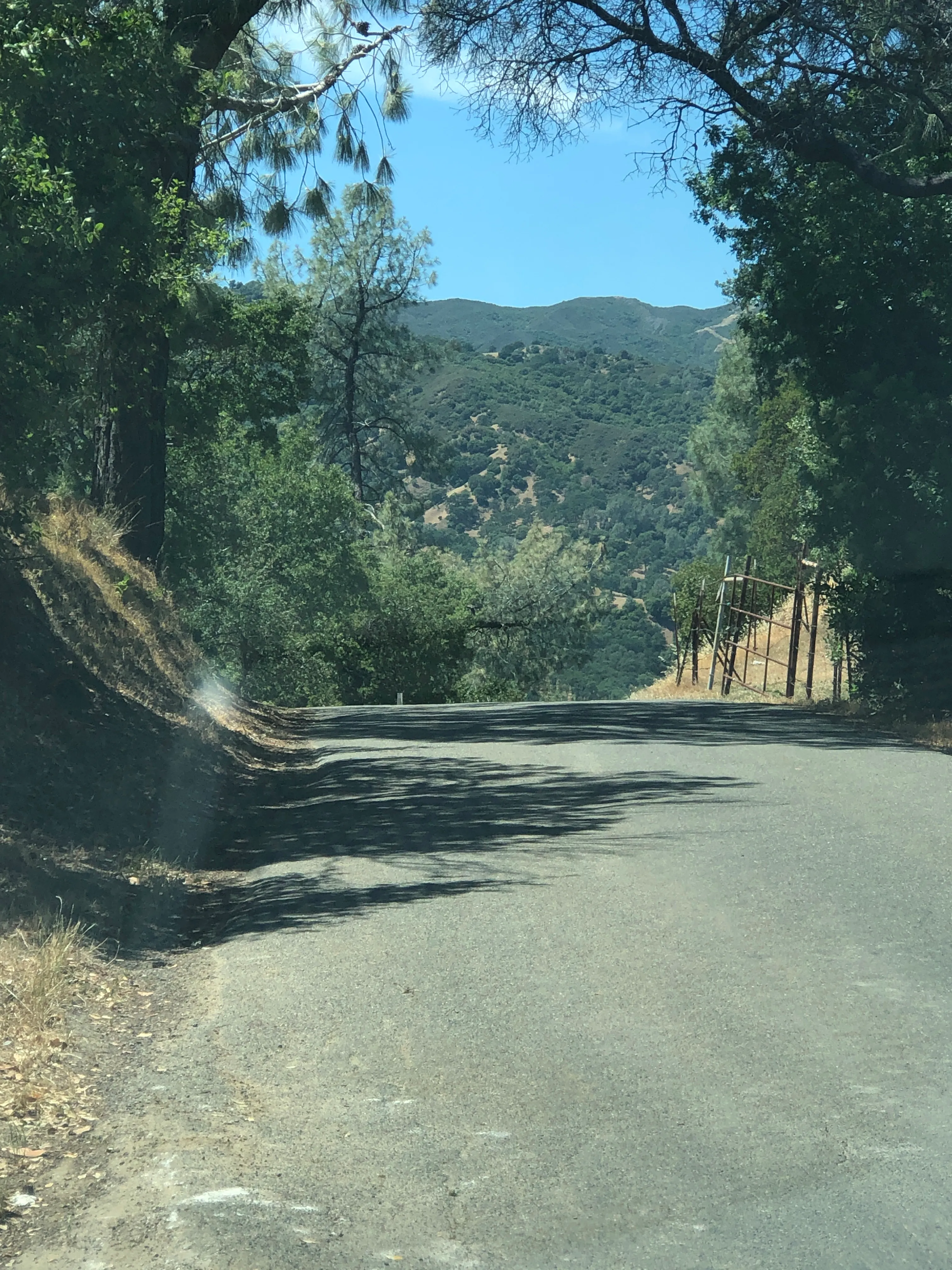 Bike the Cantelow Climb 