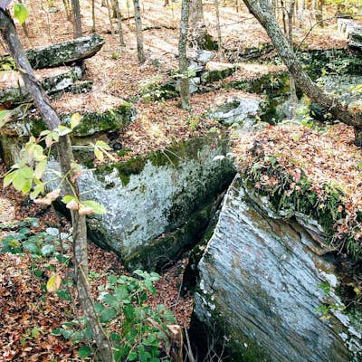 Hike Millstone Bluff in the Shawnee National Forest