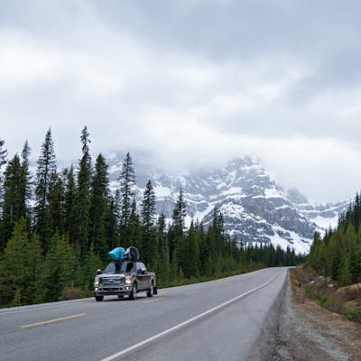 Drive the Icefields Parkway