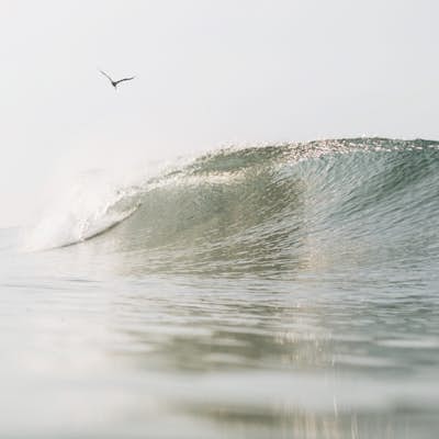 Photograph Surfers at Beacons Beach
