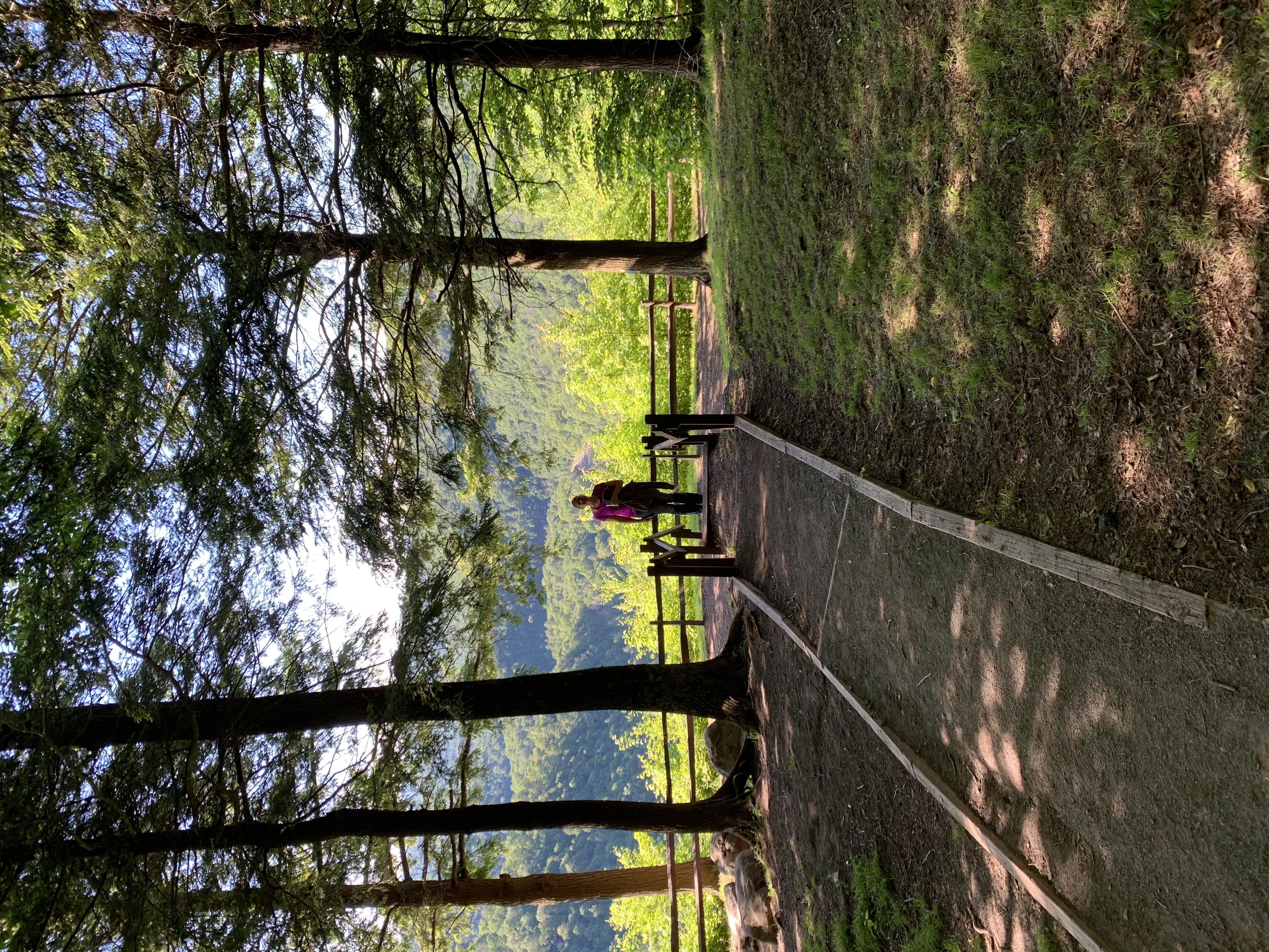 Photograph The Loyalsock Canyon Vista