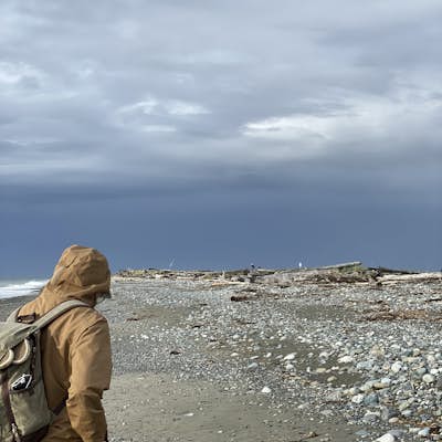 Hike Dungeness Spit