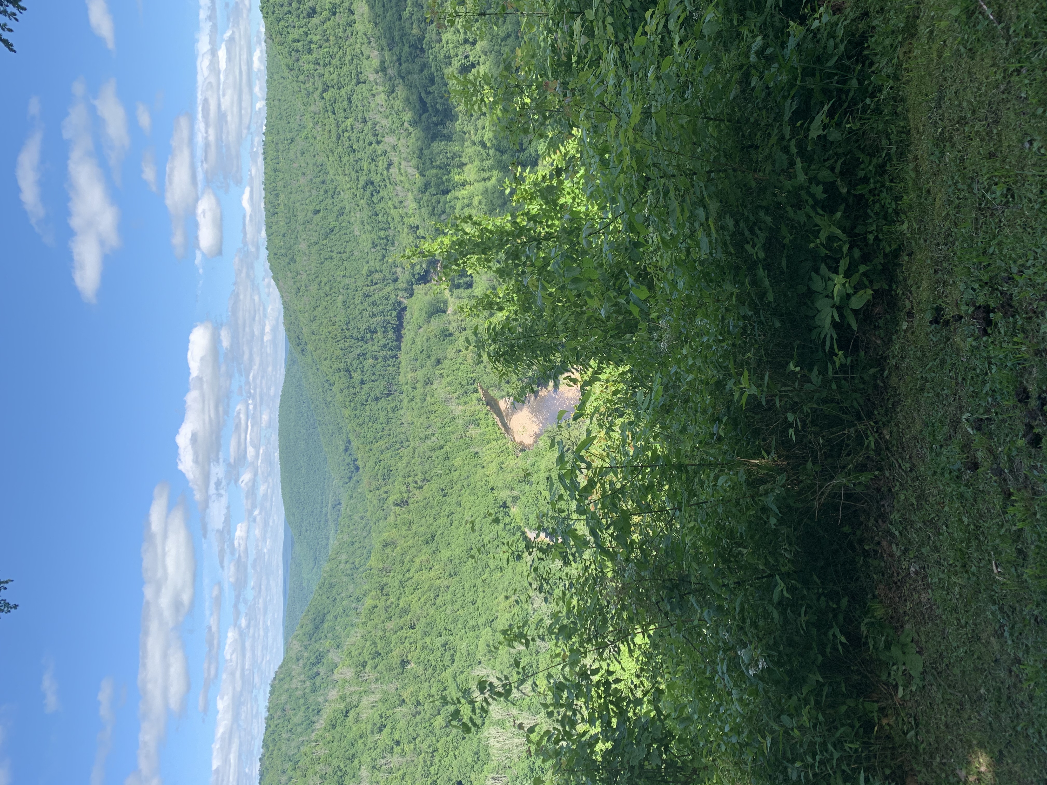 Photograph The Loyalsock Canyon Vista