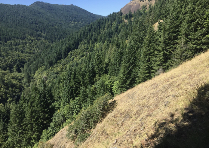 Hamilton Mountain