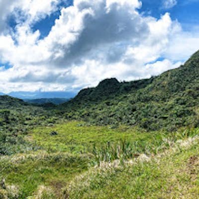 Hike the Poamoho Ridge Trail