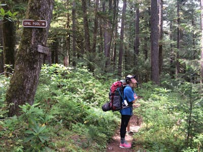 Cedar Flat and Kopetski Trail Loop