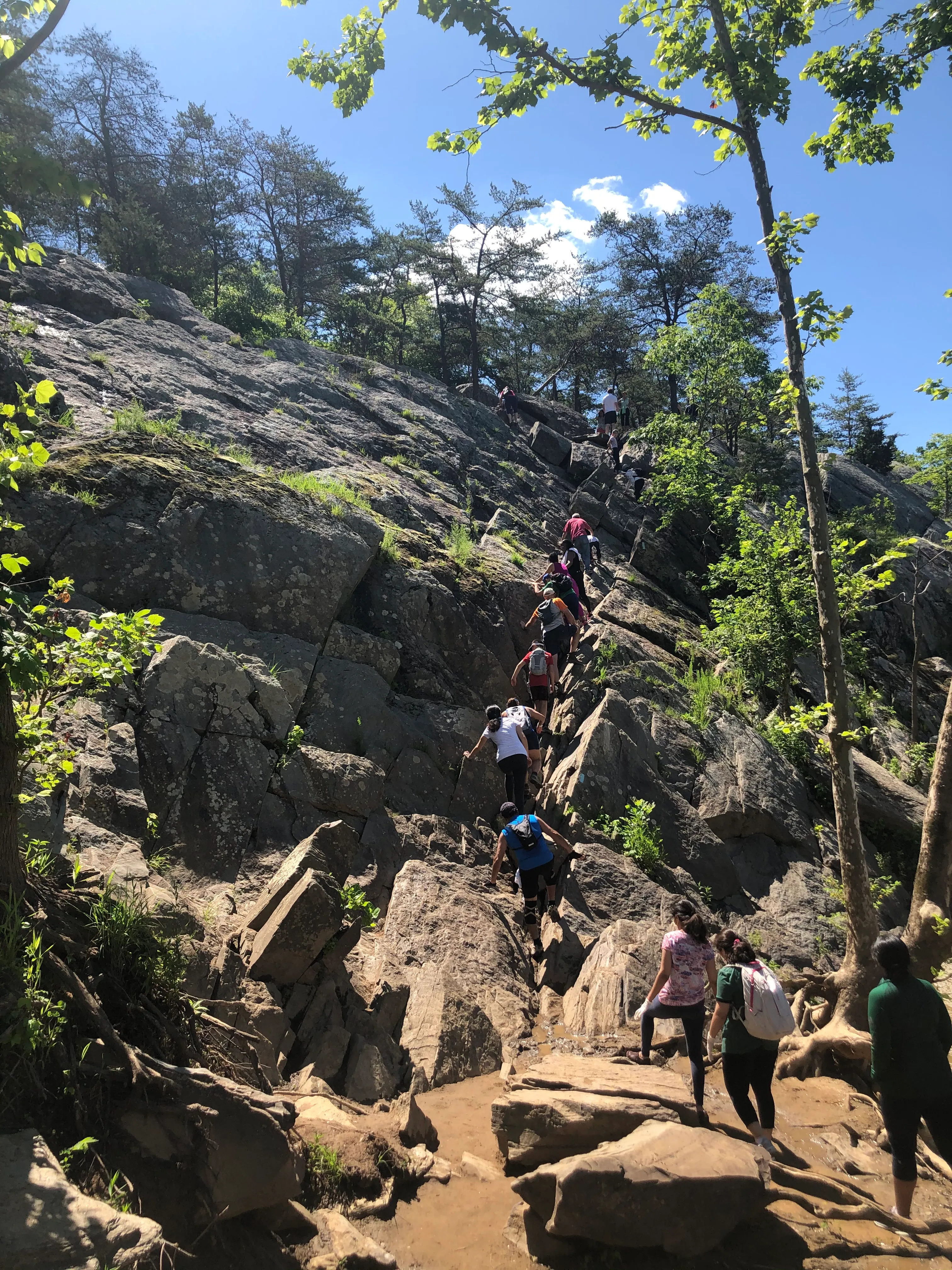 Great Falls and the Billy Goat Trail