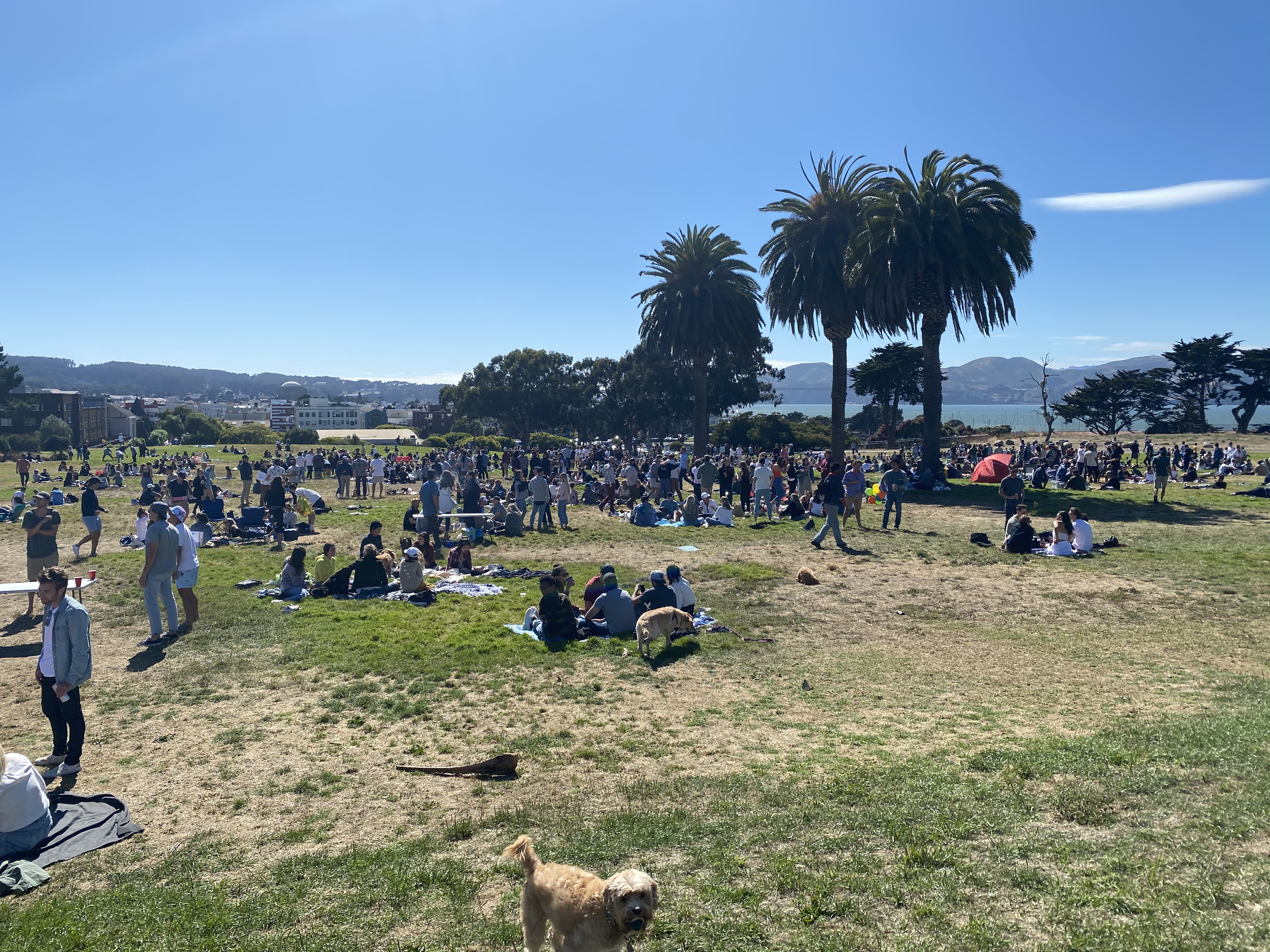 Fort Mason