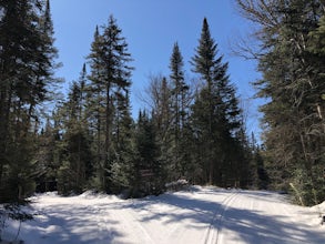 Cross Country Ski & Snowshoe at the Cascade Ski Center