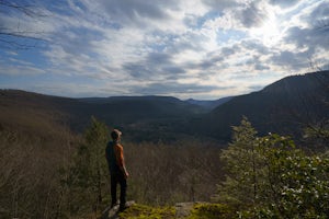 Rough Hill Trail