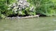 Kayak the Chestatee River South of Dahlonega