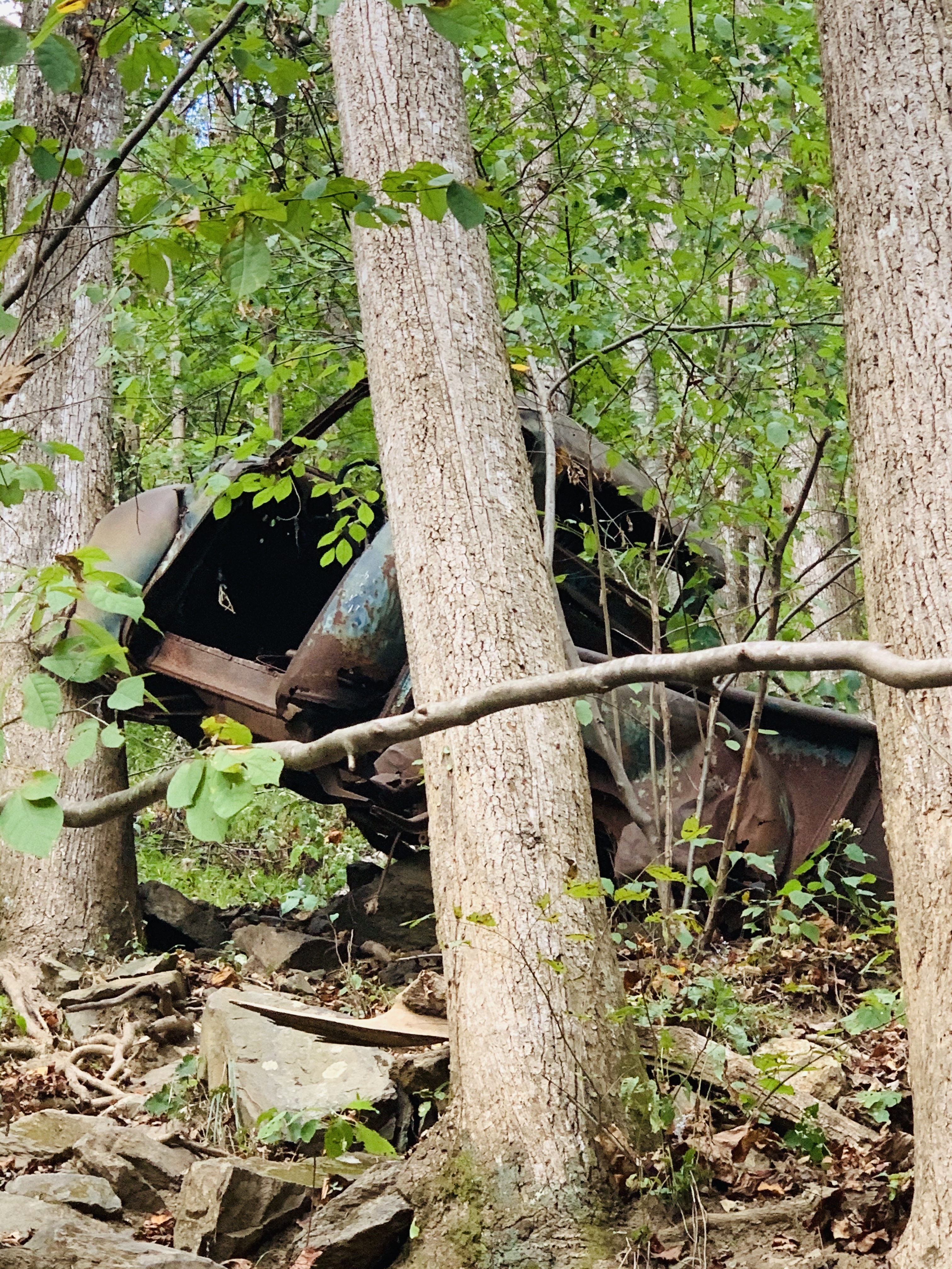 Amicalola Falls