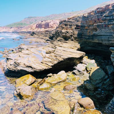 Point Loma Tide Pools
