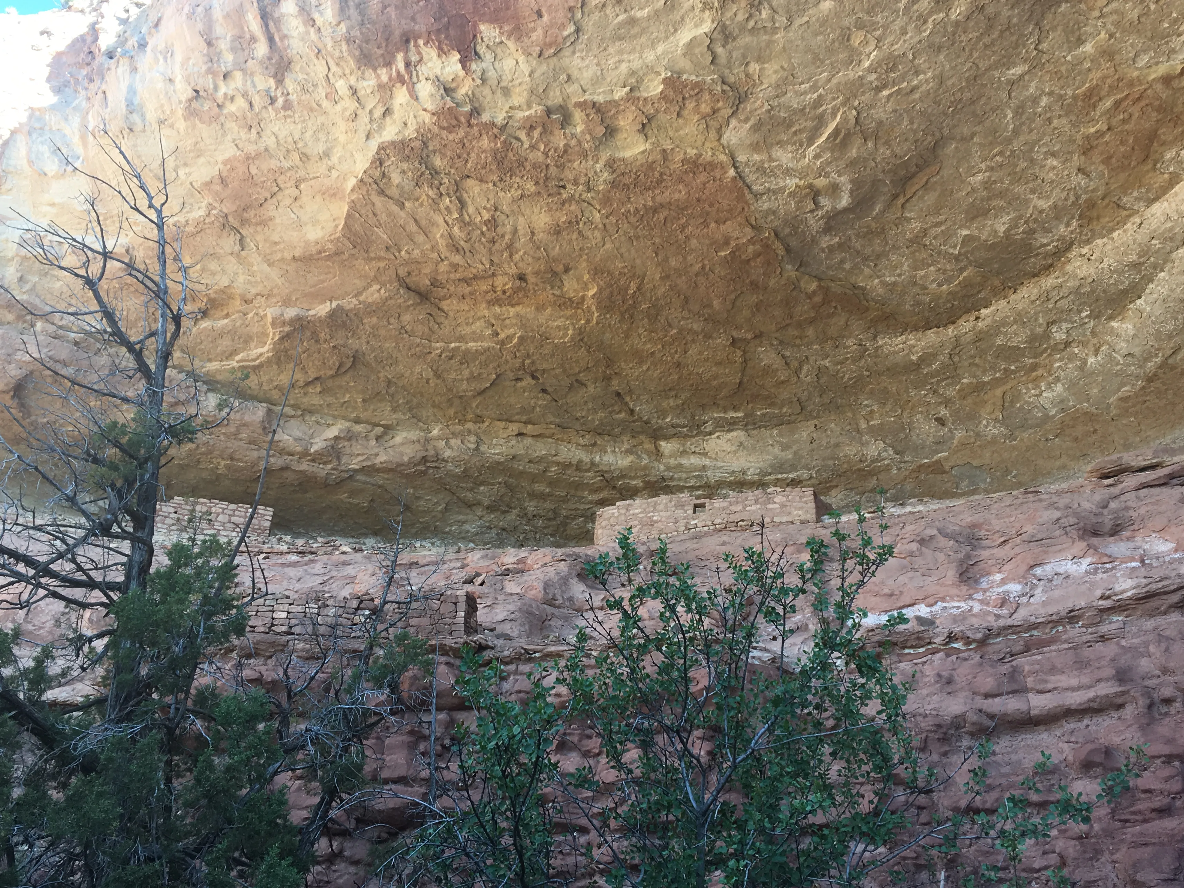 Hike Sand Canyon in Canyons of the Ancients